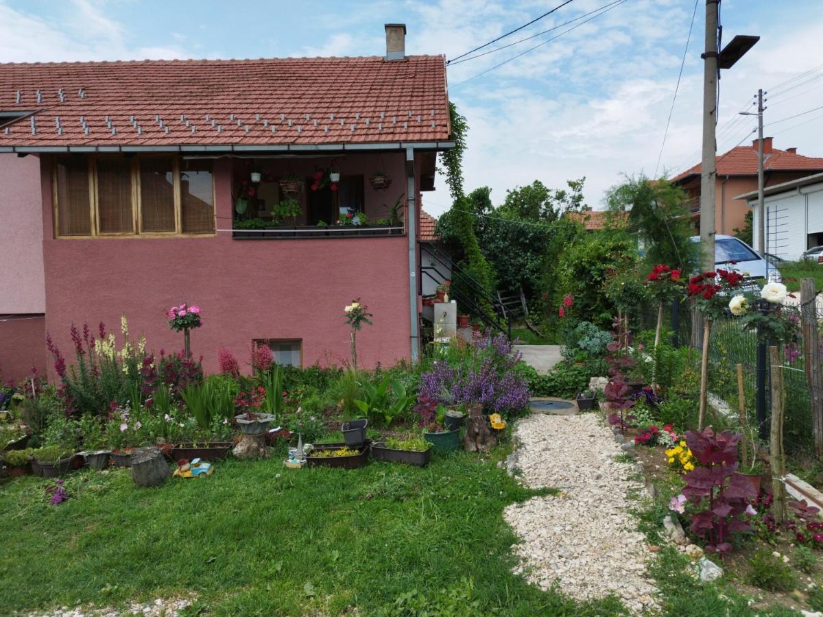 Stancic 019 Apartment Zajecar Exterior photo