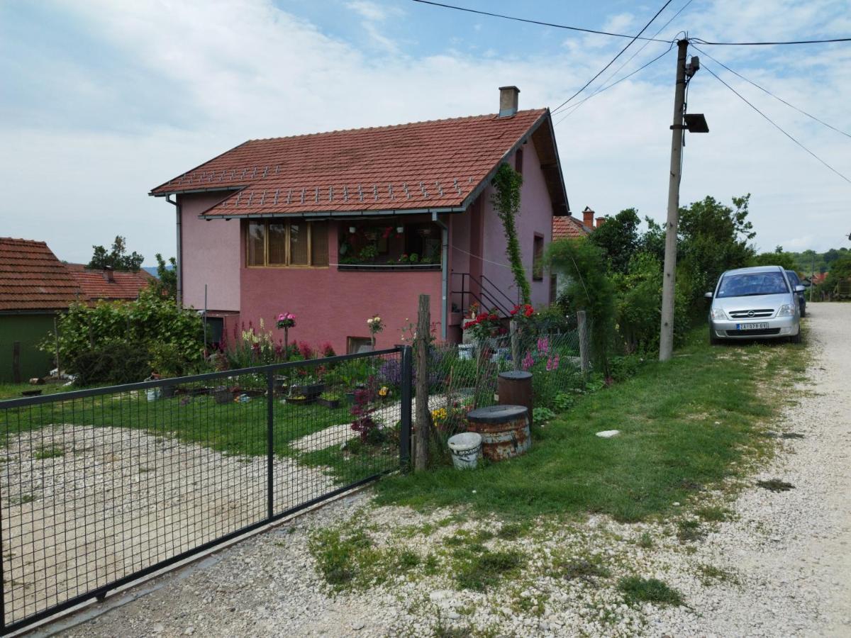 Stancic 019 Apartment Zajecar Exterior photo